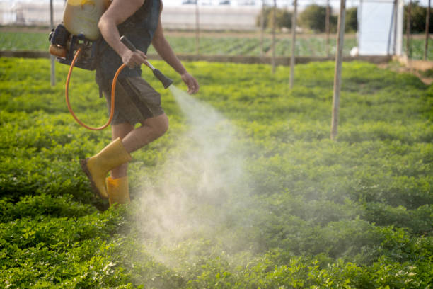 Best Best Pest Control Companies  in Taylor Creek, OH