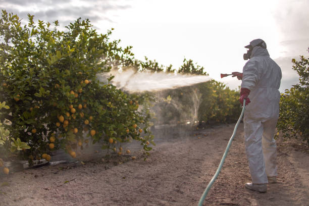 Best Emergency Pest Control  in Taylor Creek, OH