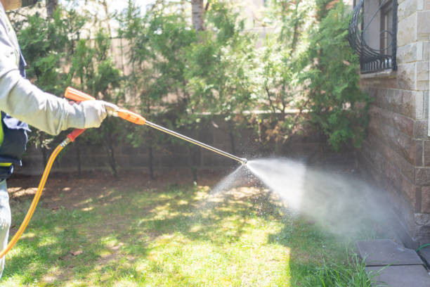 Best Residential Pest Control  in Taylor Creek, OH