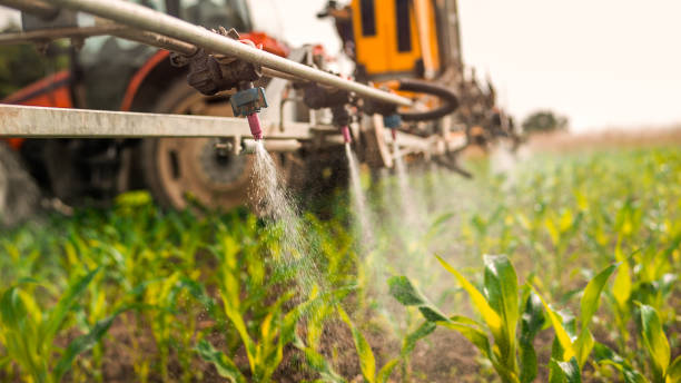 Best Commercial Pest Control Services  in Taylor Creek, OH