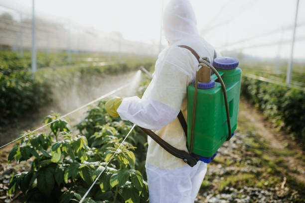  Taylor Creek, OH Pest Control Pros